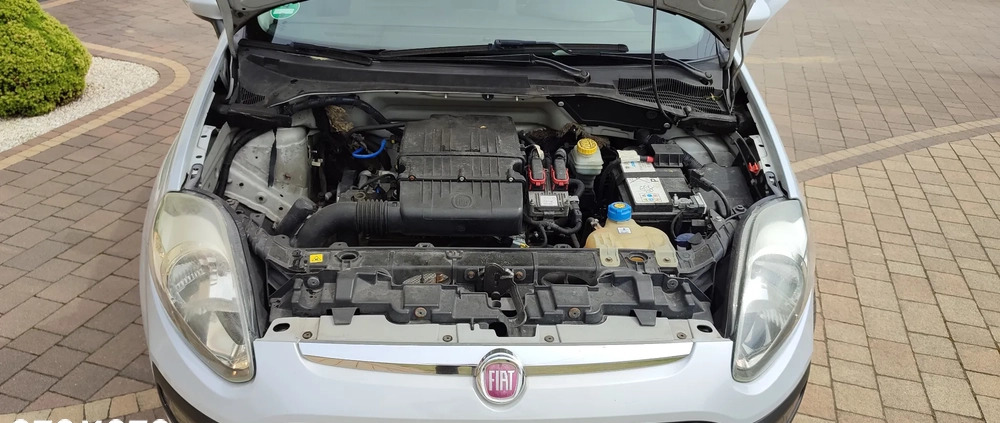 Fiat Punto Evo cena 13900 przebieg: 217000, rok produkcji 2010 z Babimost małe 326